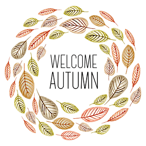 Gallery grafiche per felpe personalizzate autunno