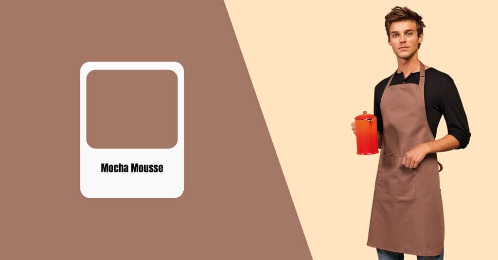 Color mocha mousse