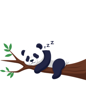 Not taday panda