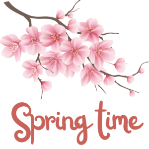 Spring time ciliegio