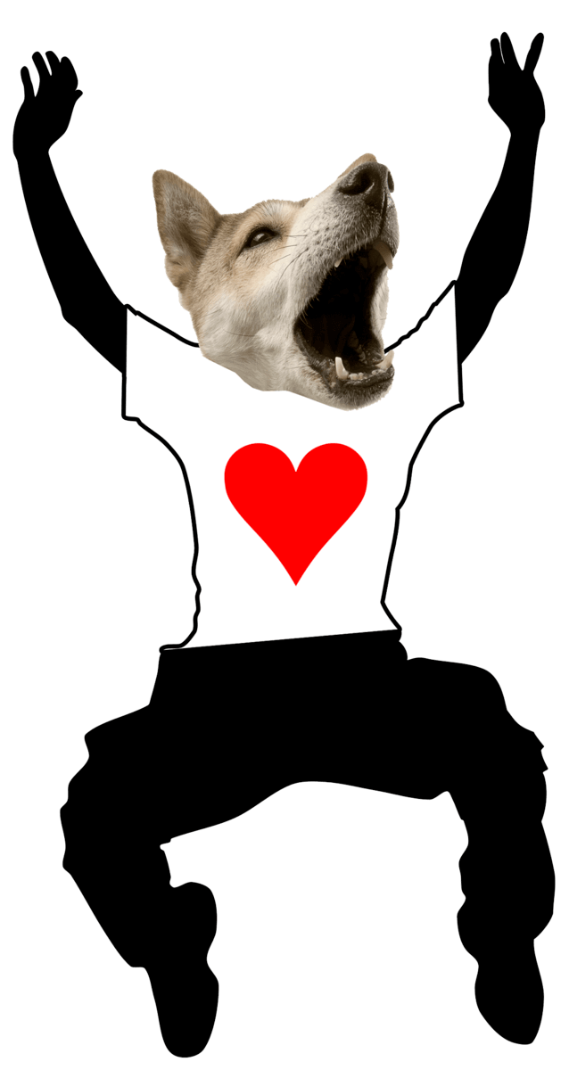 Eshirt.it